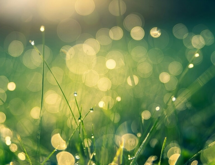 Оздоровительная - Санаторий «Здоровье» Железноводск