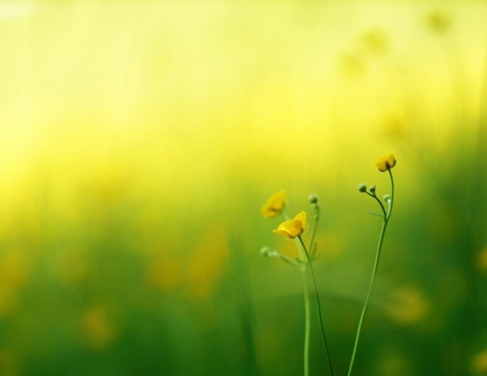 Общетерапевтическая - Санаторий «Здоровье» Железноводск