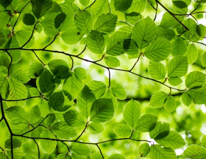 Программа «Отдохни» - Санаторий «Здоровье» Железноводск